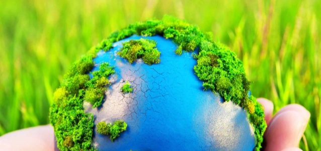 Pedagogía ambiental para el planeta – Zimermann